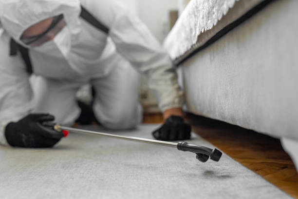 Professional Bed Bug Control technician working in Fairfax County County, VA